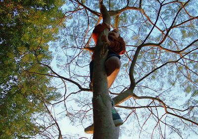 a person climbing up a tree in a forest