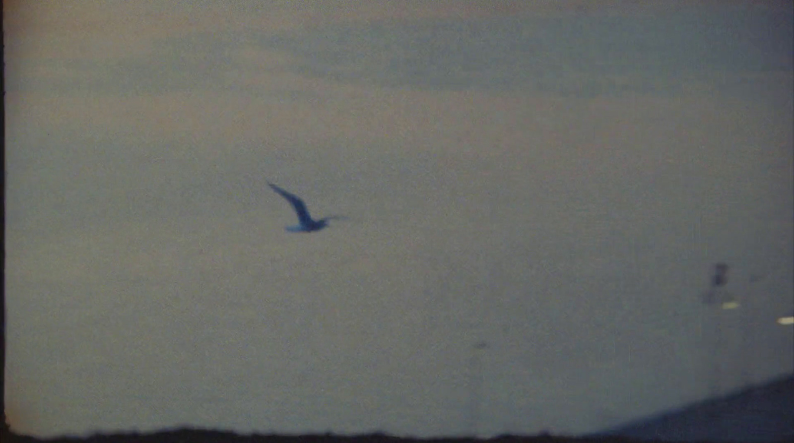 a bird flying through a cloudy blue sky