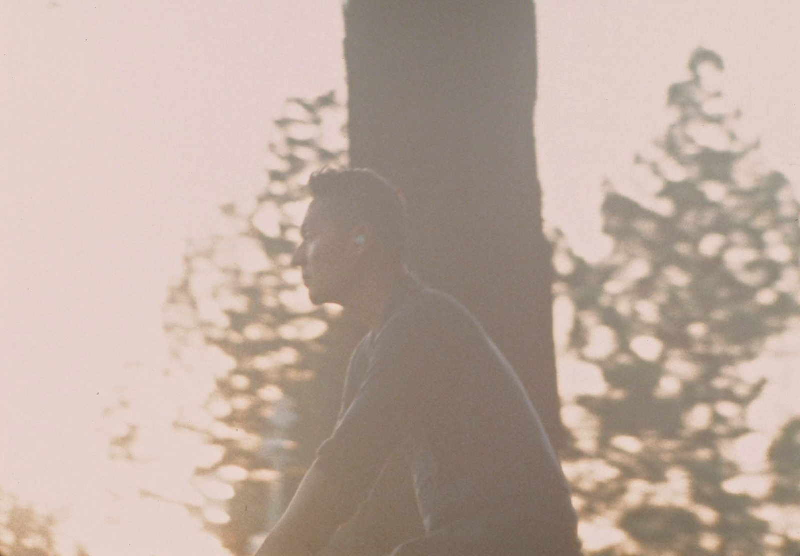 a man riding a skateboard next to a tall tree