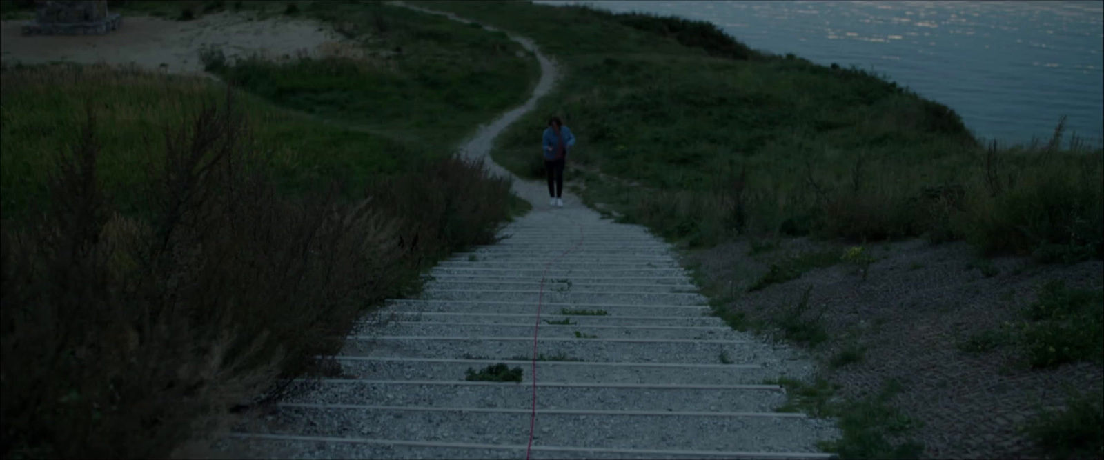 a person walking up a set of stairs next to a body of water