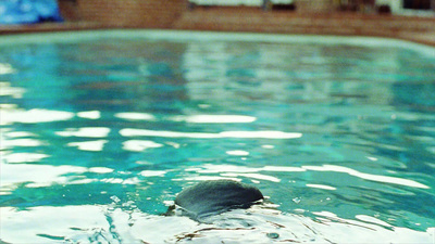 a person swimming in a pool of water