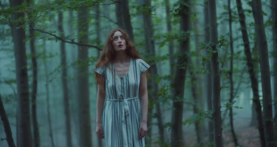 a woman in a dress standing in a forest