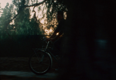 a man riding a bike through a forest