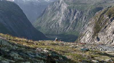 a couple of sheep standing on top of a grass covered hillside