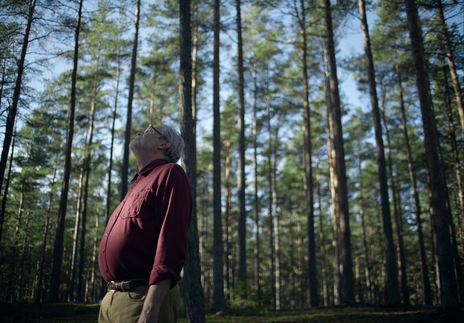 a man standing in the middle of a forest