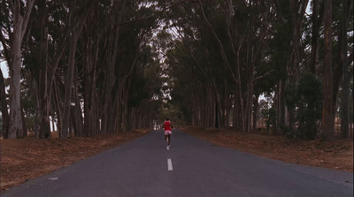 a person running down a road in the middle of a forest