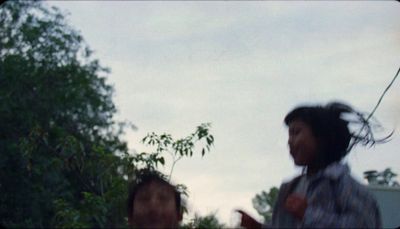 a man flying a kite next to a tree