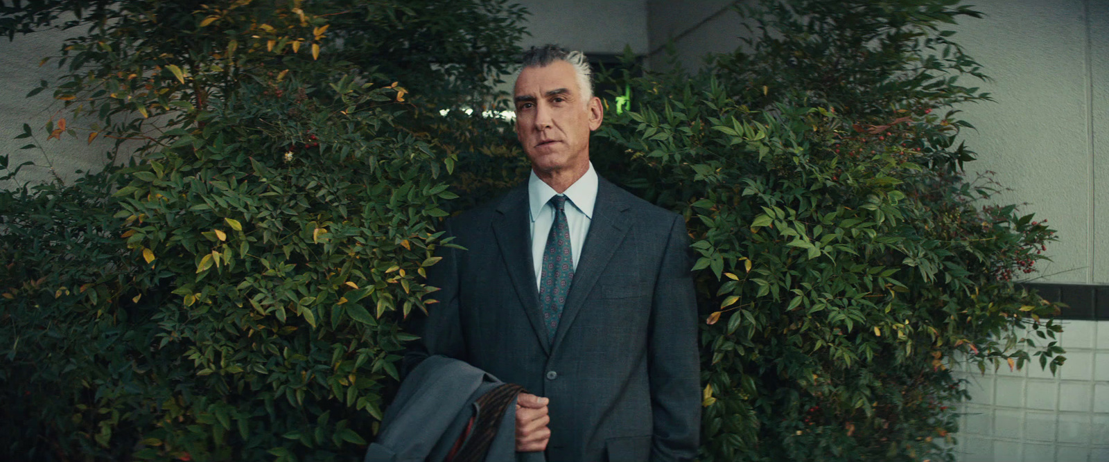 a man in a suit and tie standing in front of a bush