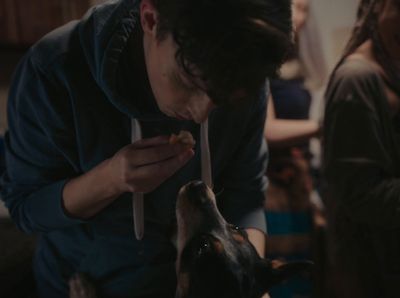 a man is feeding a dog a piece of food