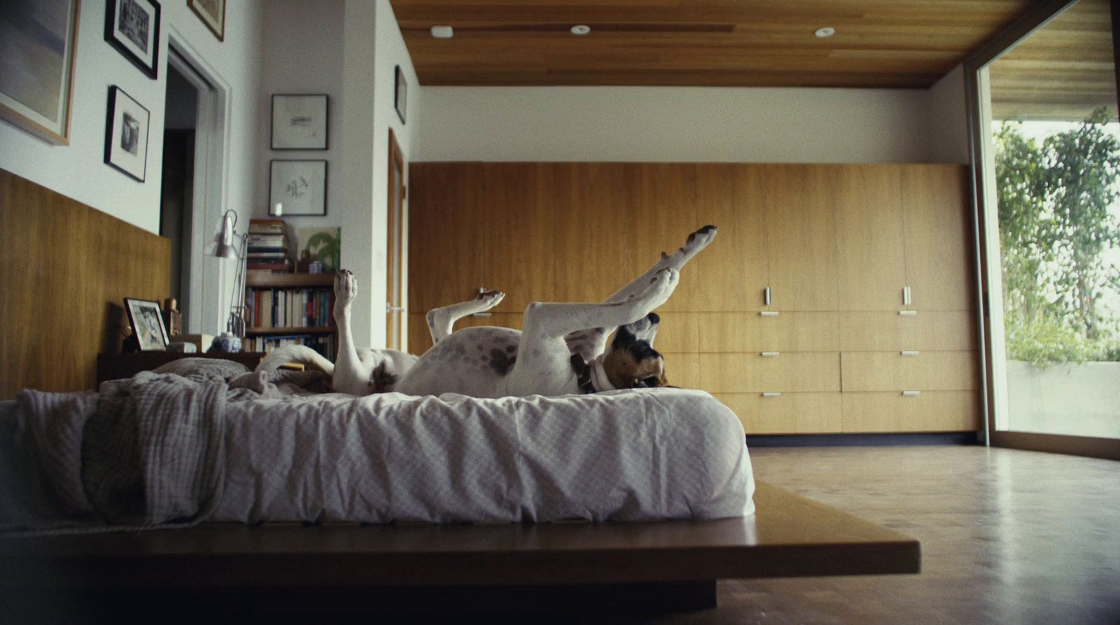 a dog laying on top of a bed in a room