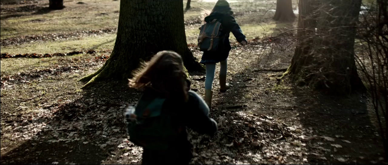 a couple of people walking through a forest