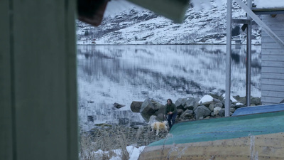 a person walking a dog in the snow