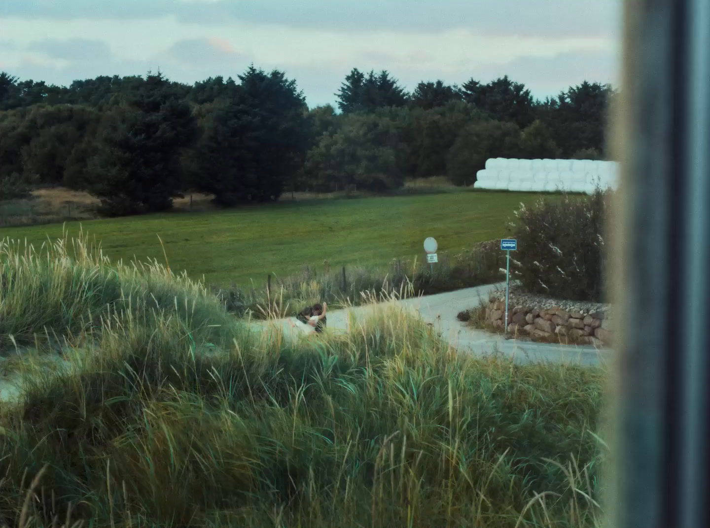 a view of a grassy field through a window