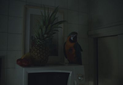 a pineapple sitting on top of a microwave oven