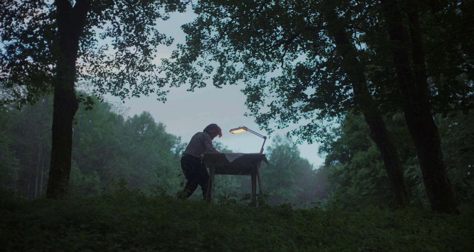 a person standing next to a lamp in a forest