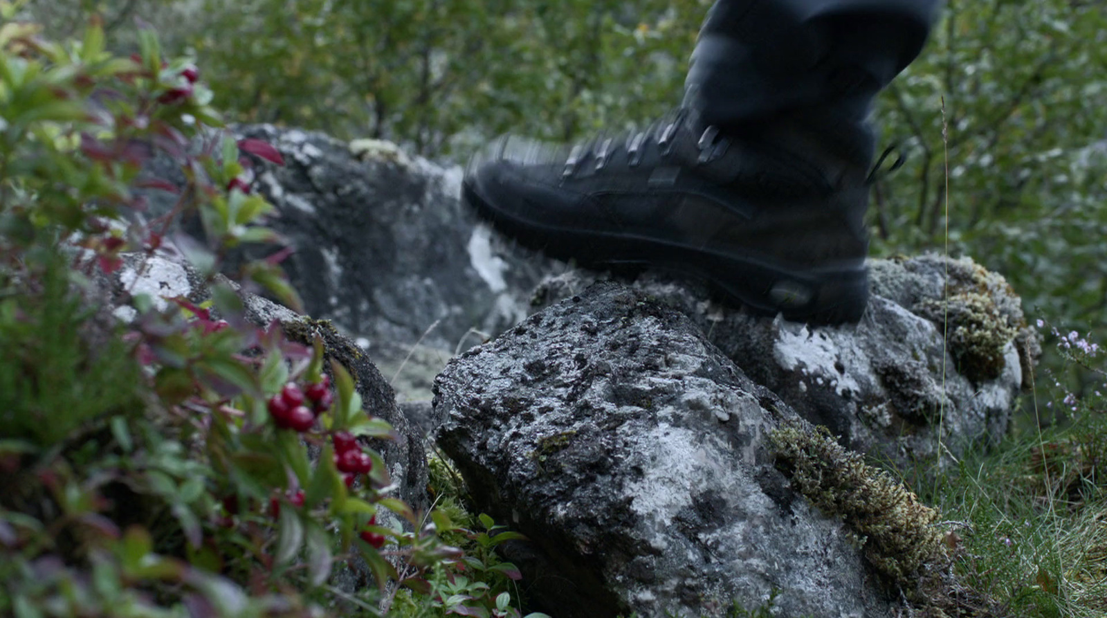 a person standing on a rock in a field