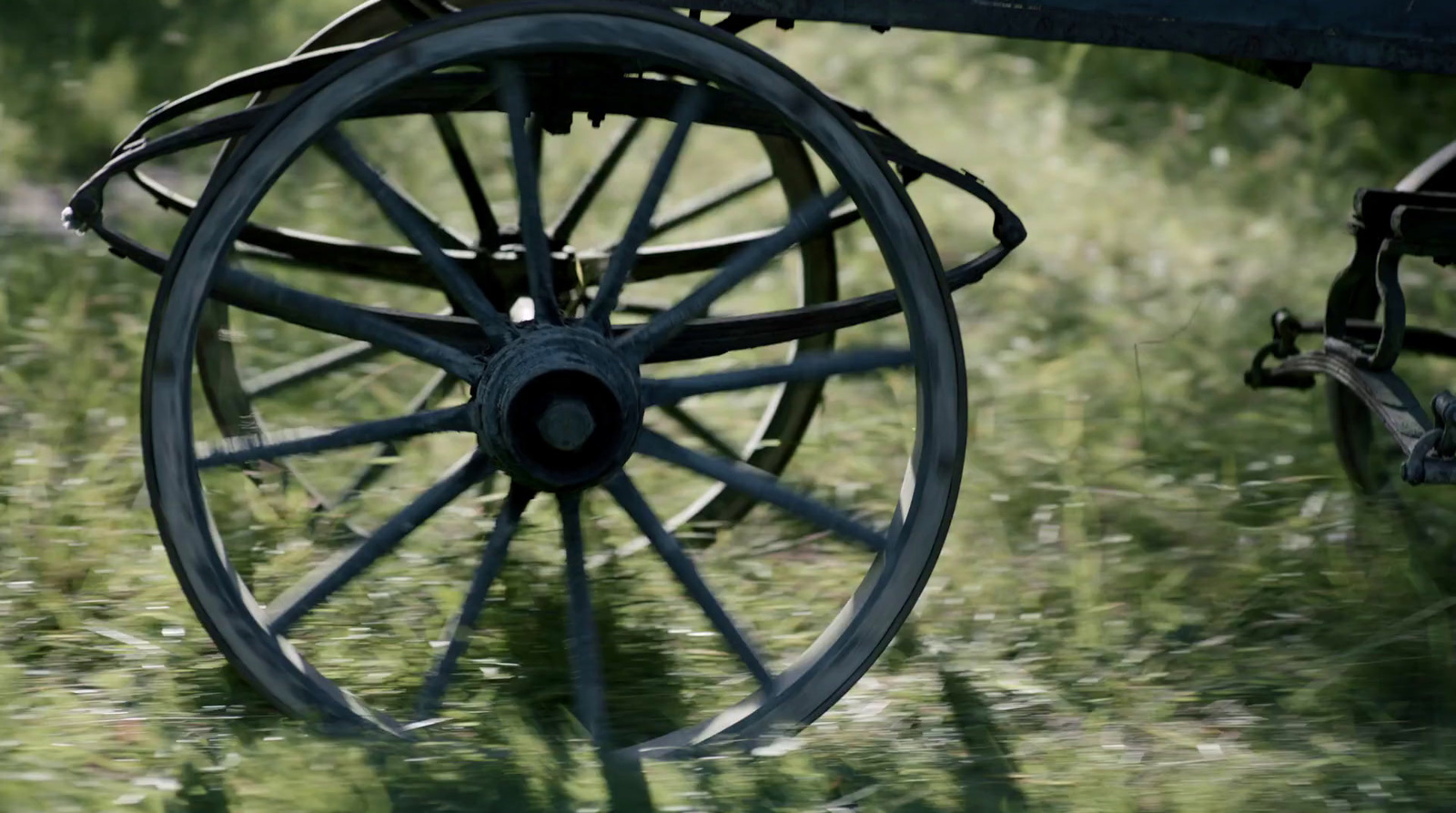 a close up of a horse drawn carriage