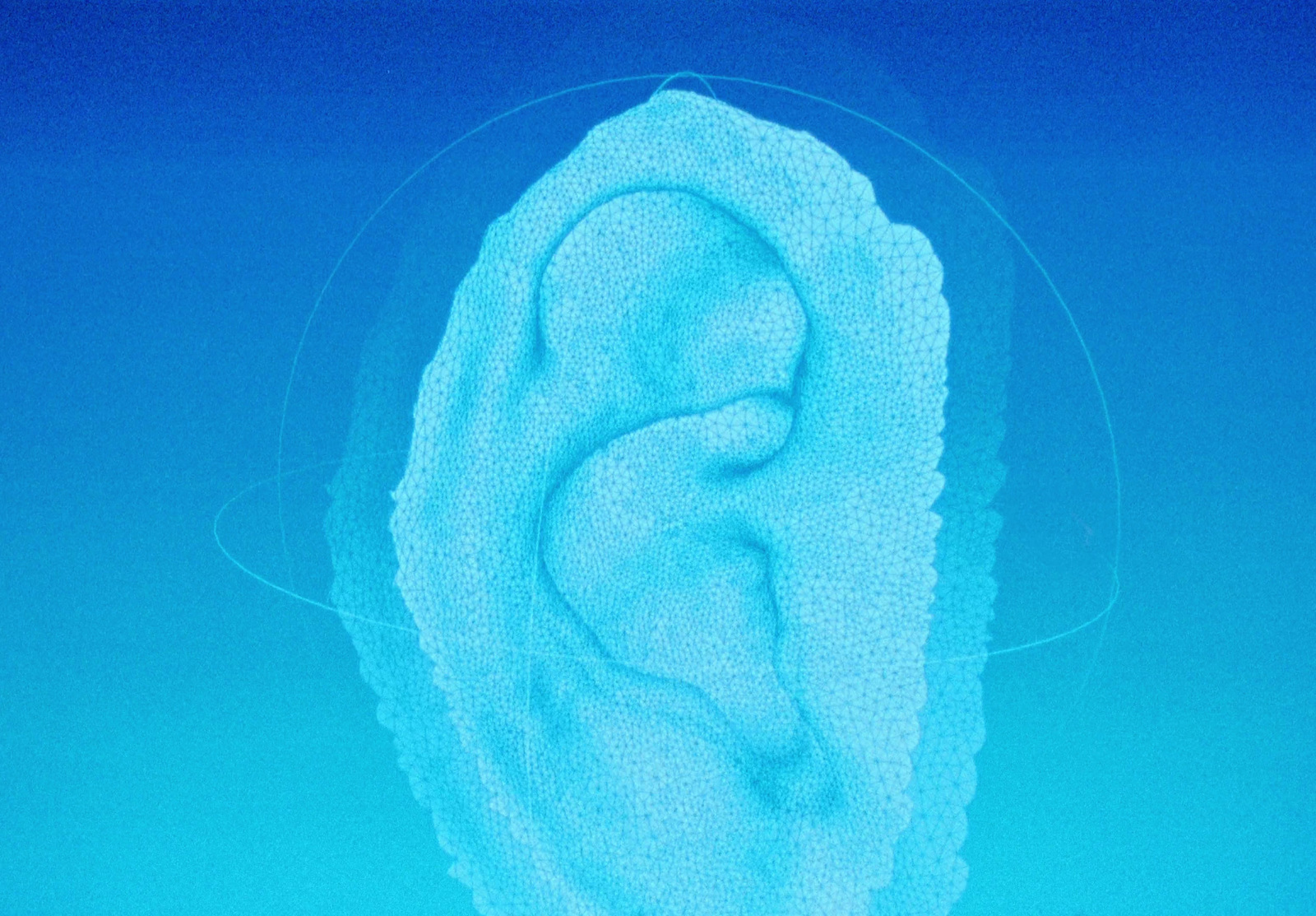 a close up of a towel on a blue background