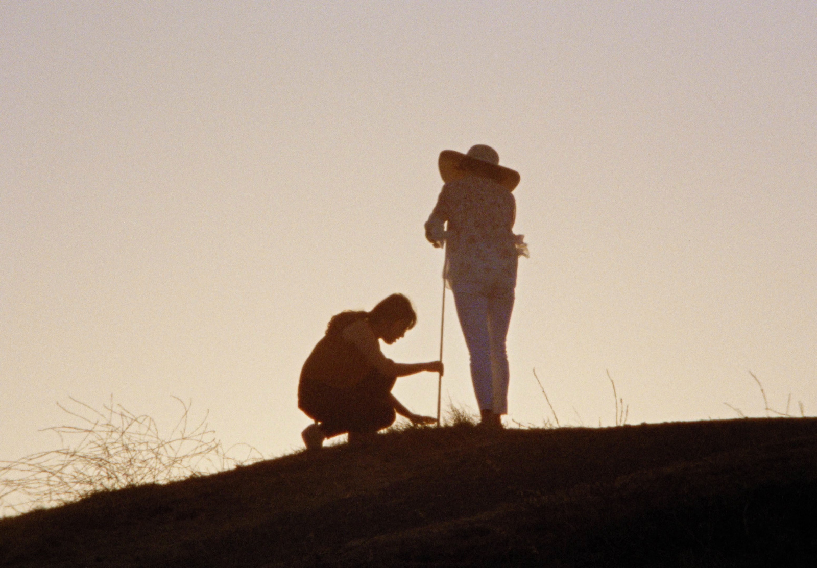 a couple of people standing on top of a hill