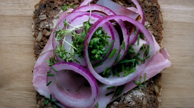 a close up of a sandwich with onions and herbs