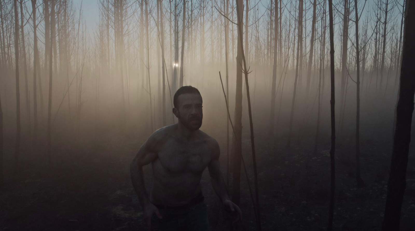 a man standing in the middle of a forest