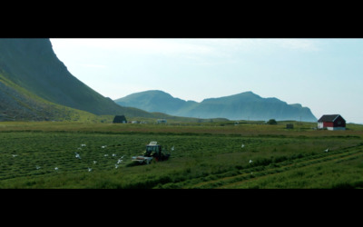 a farm field with a tractor in the middle of it