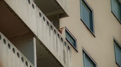 a bird is perched on the ledge of a building