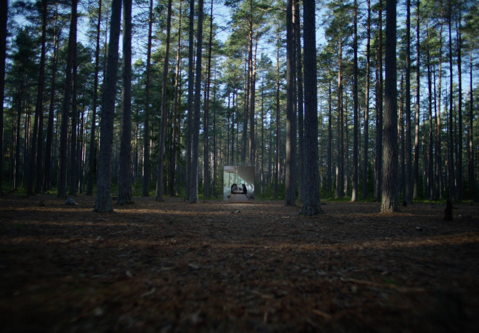 a tent in the middle of a pine forest