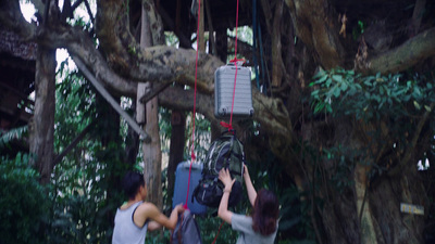 a couple of people standing next to a tree