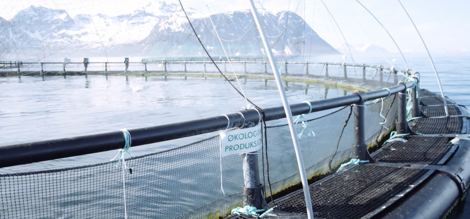 a fishing net on a boat with mountains in the background