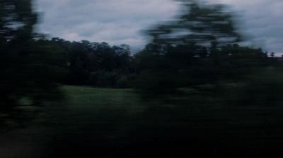 a blurry photo of a field with trees in the background