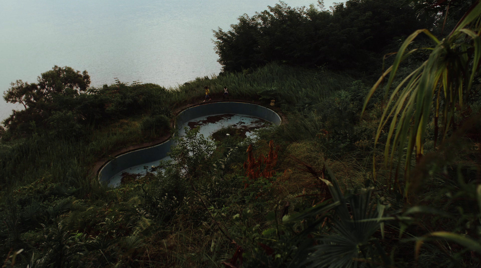 a pool in the middle of a lush green hillside