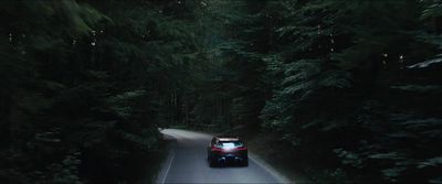 a car driving down a road surrounded by trees