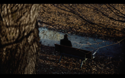 a person sitting on a bench in the woods