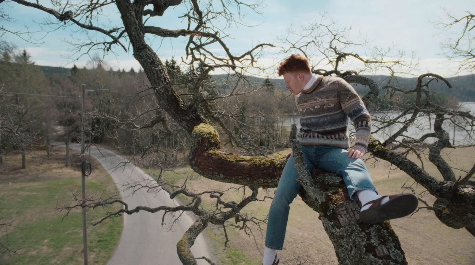 a man sitting on top of a tree next to a road