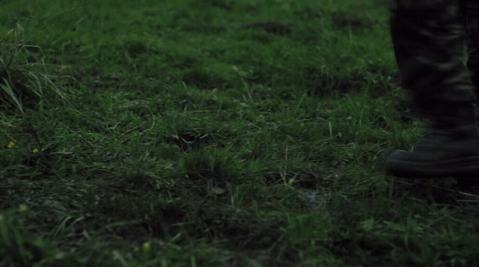 a person standing in a field of grass