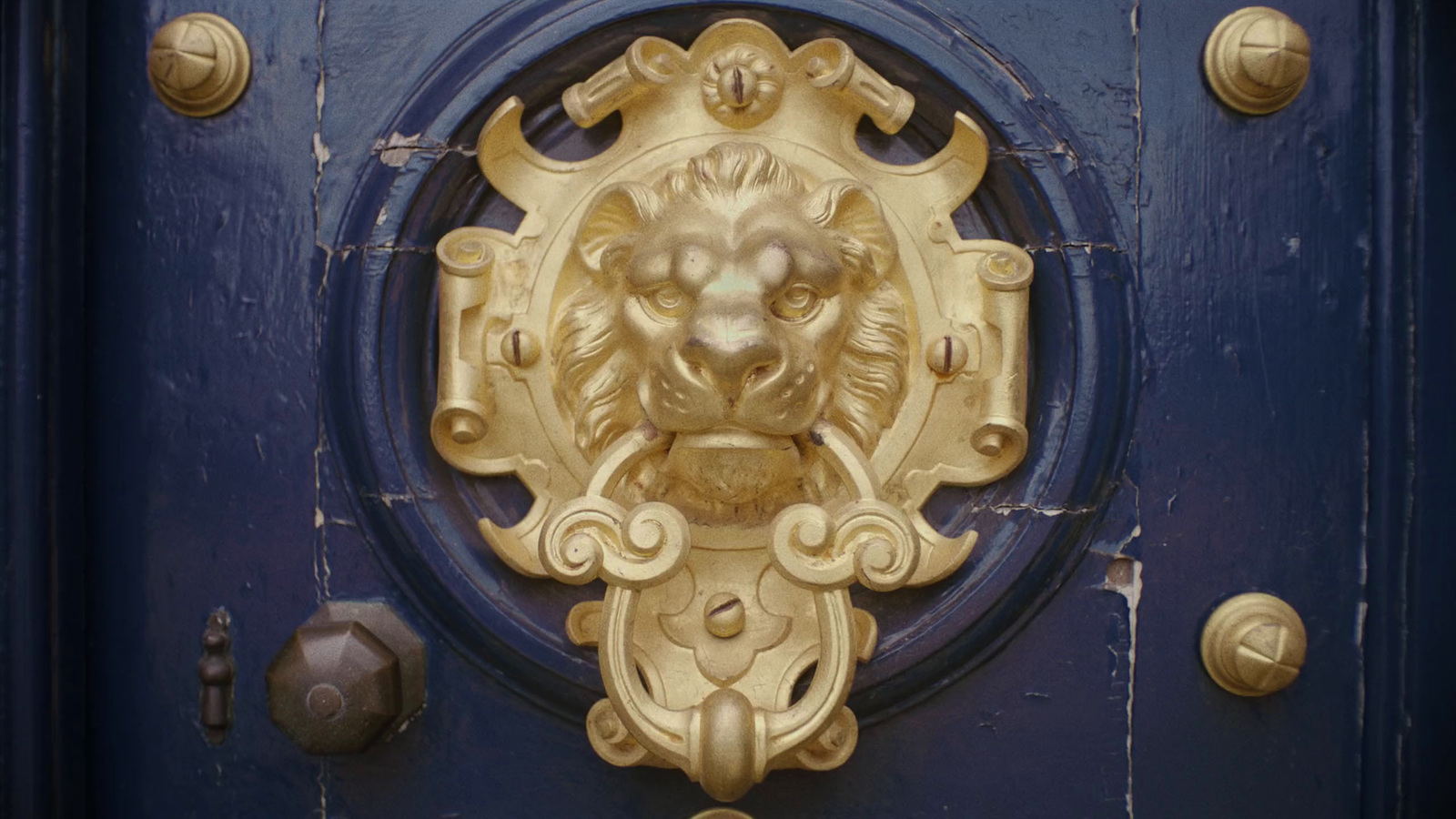 a door with a lion's head on it