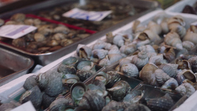 a close up of many different types of shells