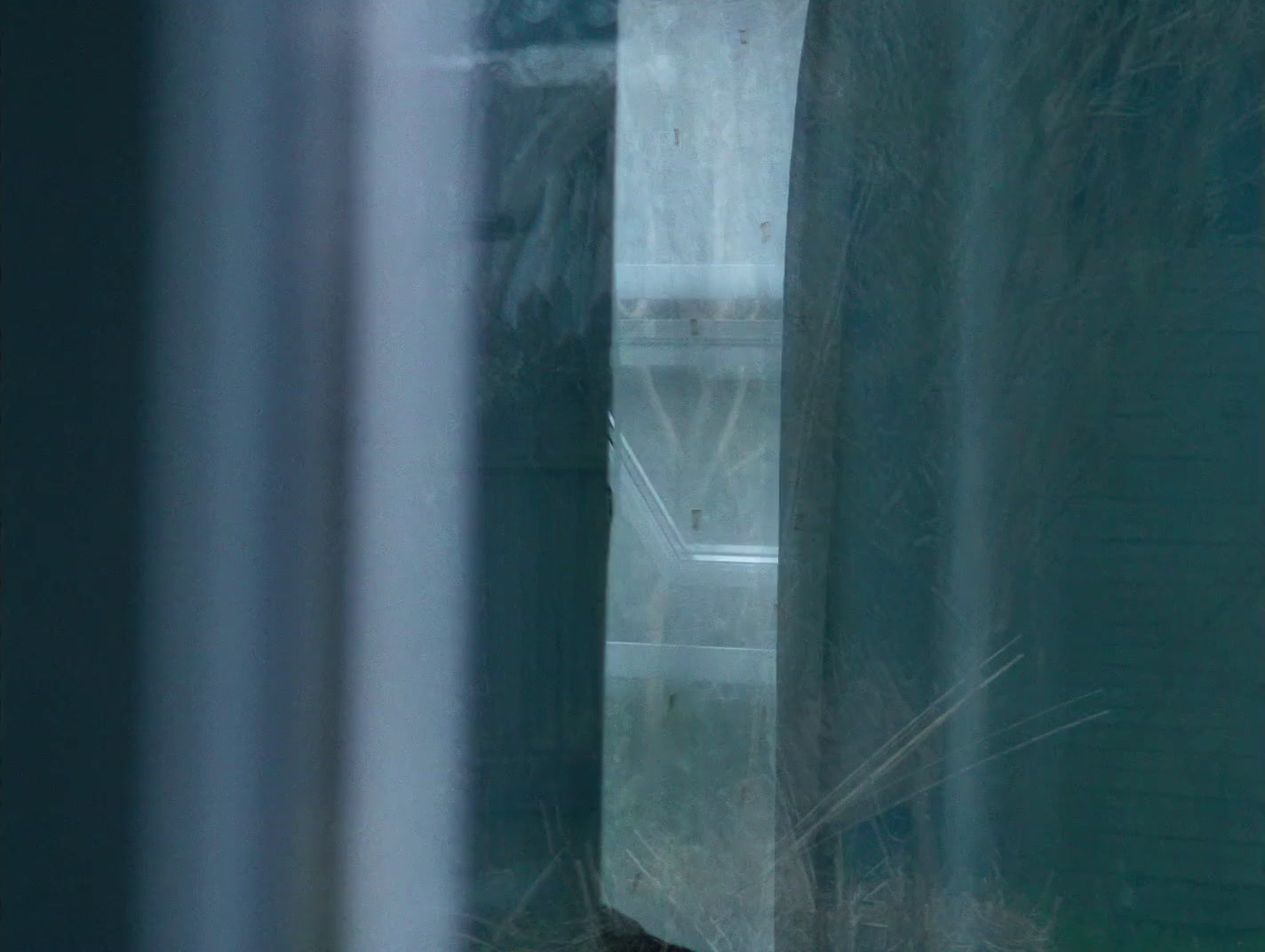 a cat sitting on a window sill looking out the window