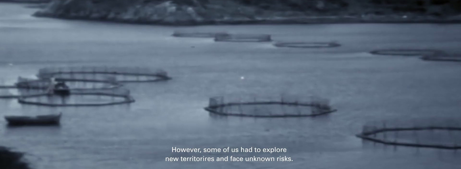 a black and white photo of a group of fish cages