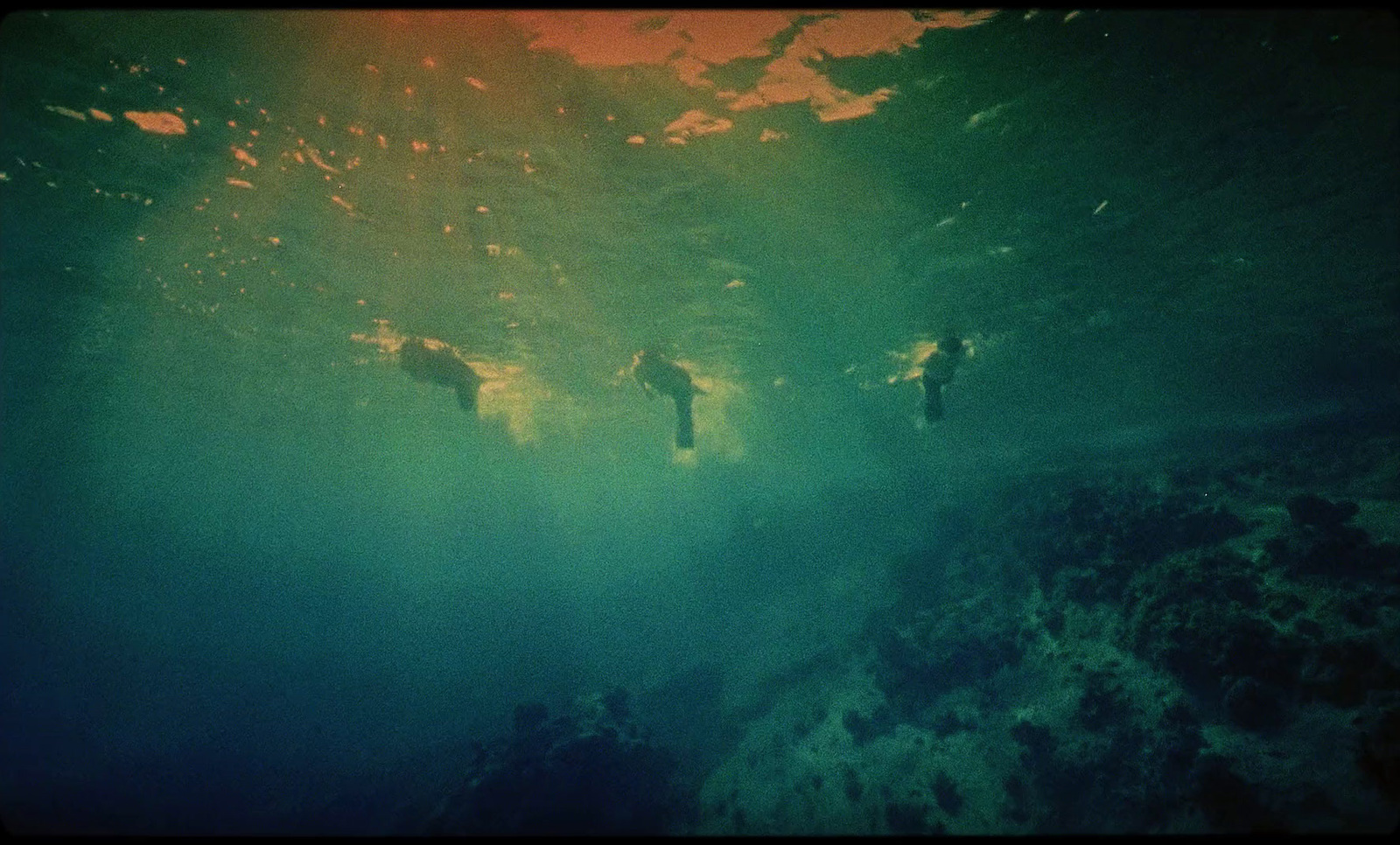 a group of people swimming in the ocean