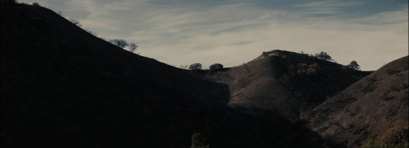 a view of a mountain with trees on top of it