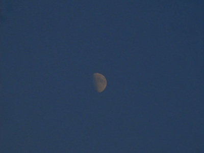 a half moon in a clear blue sky