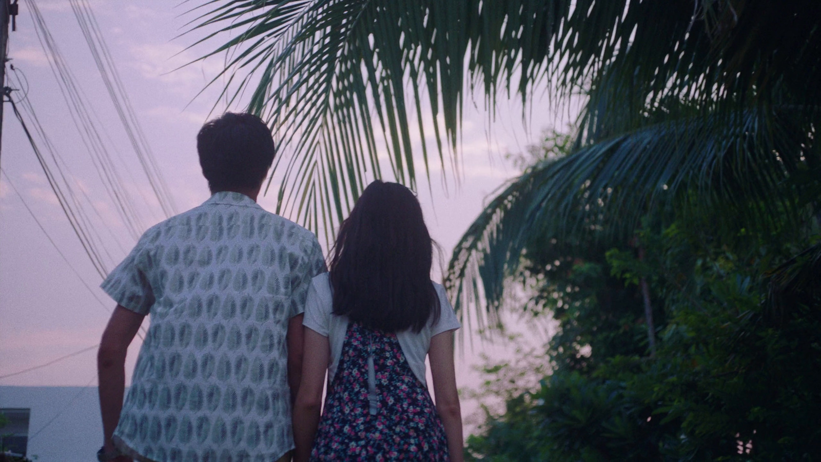 a man and a woman standing next to each other under a palm tree