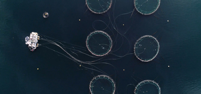 a group of fishing nets floating on top of a body of water