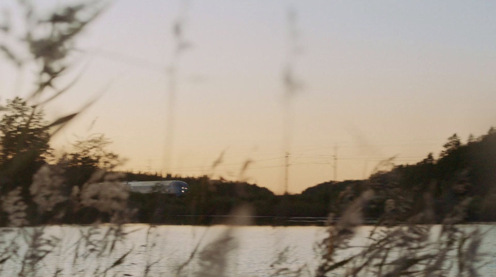 a view of a body of water with trees in the background