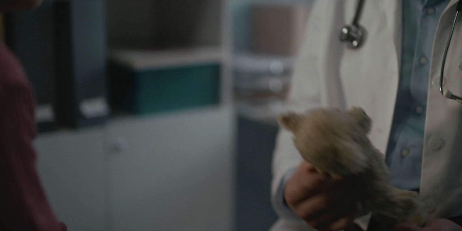 a person in a lab coat holding a stuffed animal