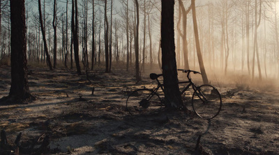 a bike parked in the middle of a forest