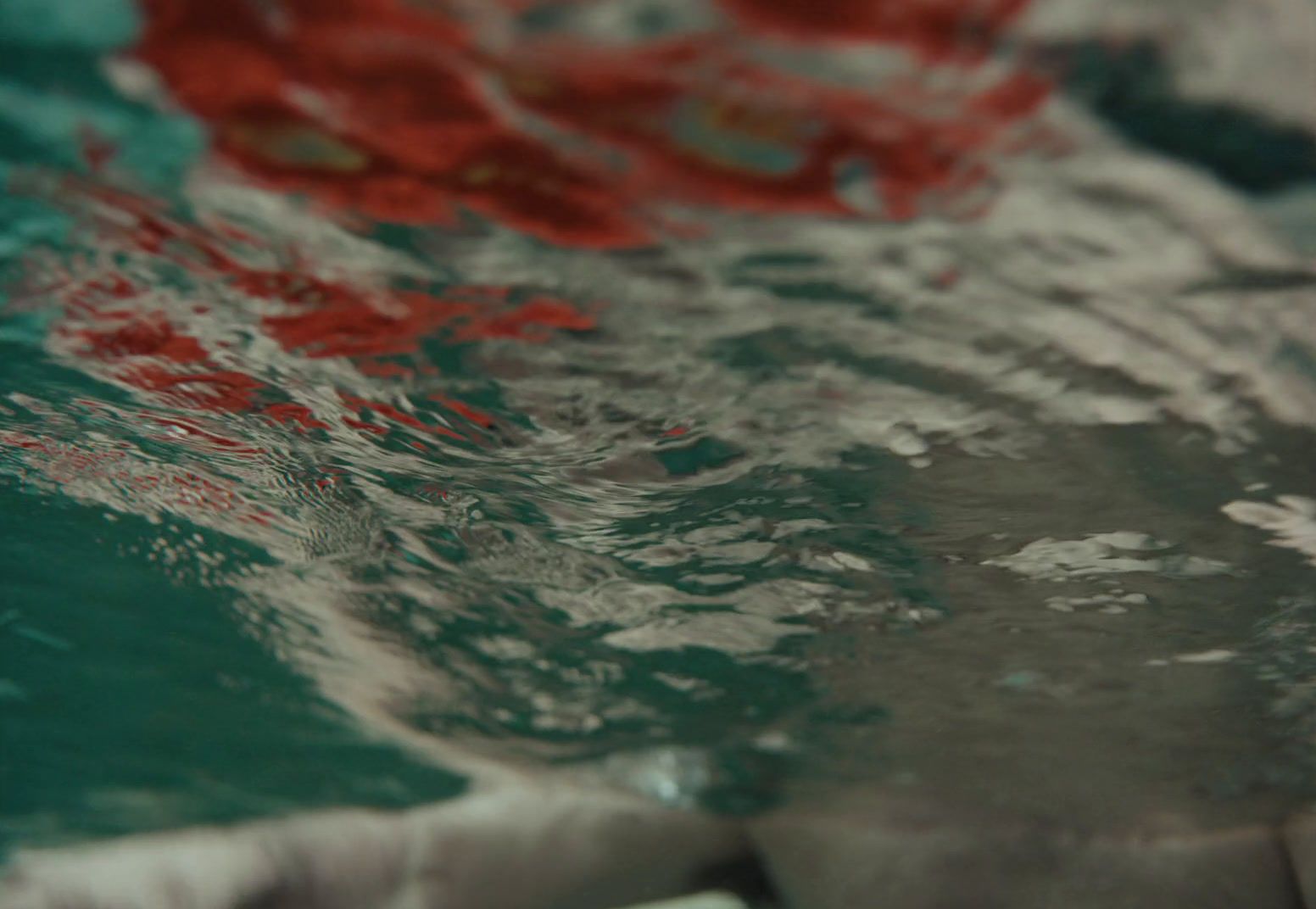 a close up of water with red flowers on it