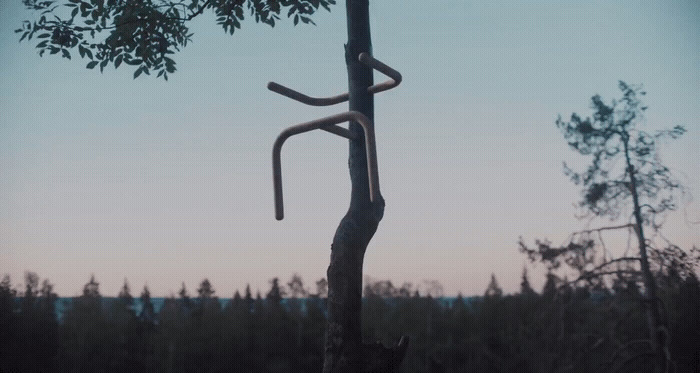 a tree that has a bent branch on it